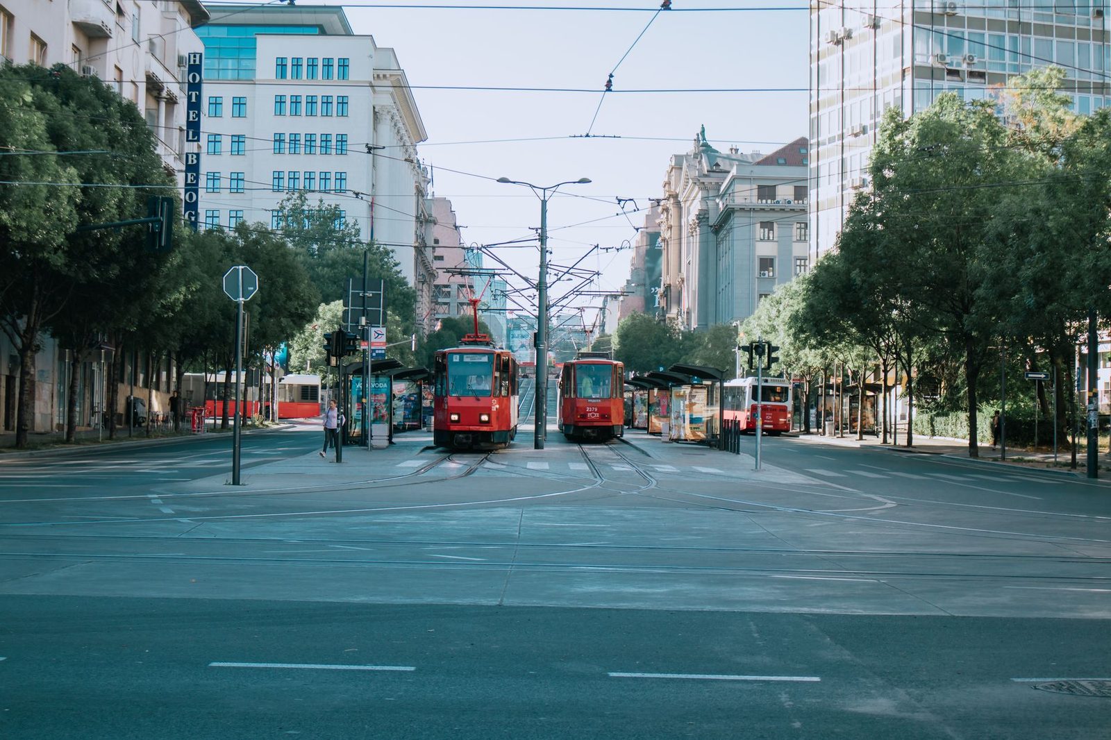 Deux tramways rouges à l'arrêt sur un large boulevard urbain bordé d'immeubles et d'arbres