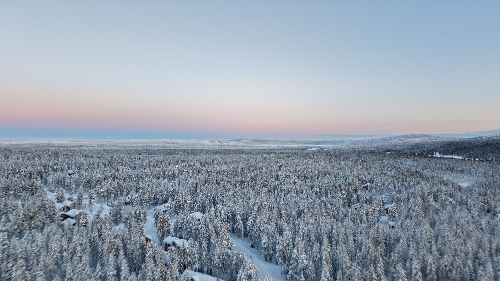 Snow-covered conifer forest stretching to the horizon in Lapland, under a pink twilight sky